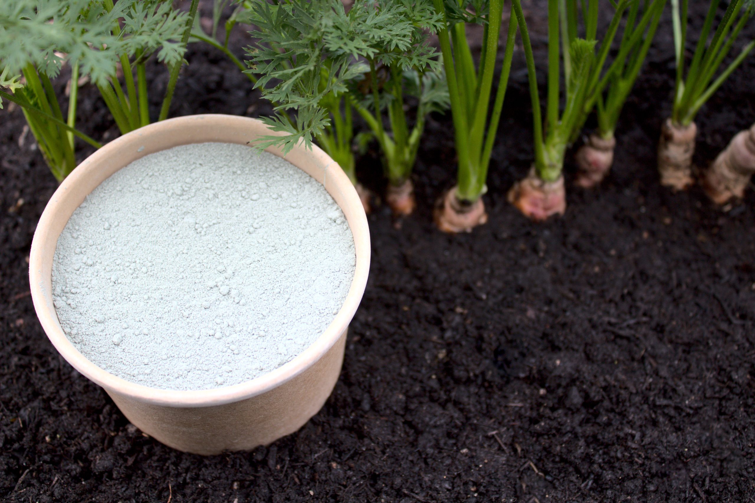  la toxicité de la terre de diatomée 