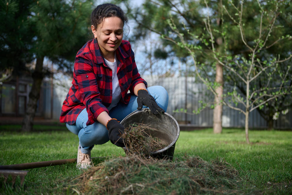 Les meilleures méthodes pour éliminer durablement les mulots de votre jardin
